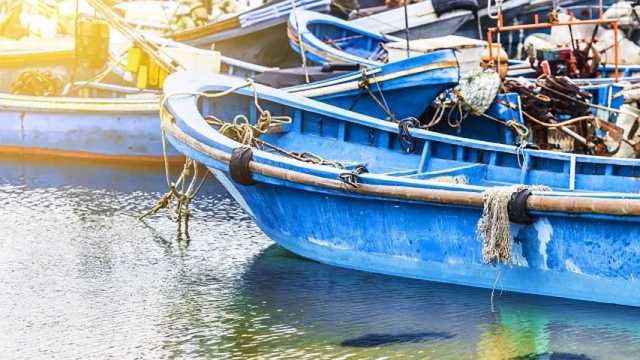 Se anula el acuerdo pesquero entre la UE y Marruecos por incluir el Sahara Occidental. (Foto: Freepik)